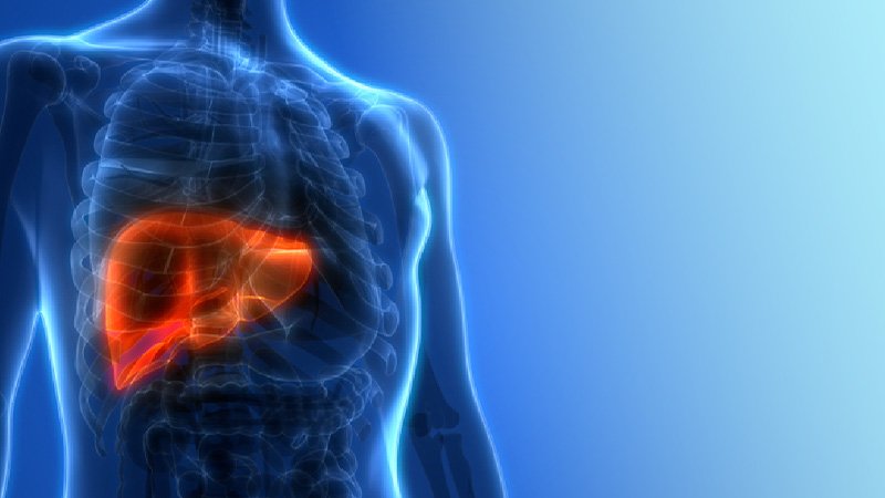 liver