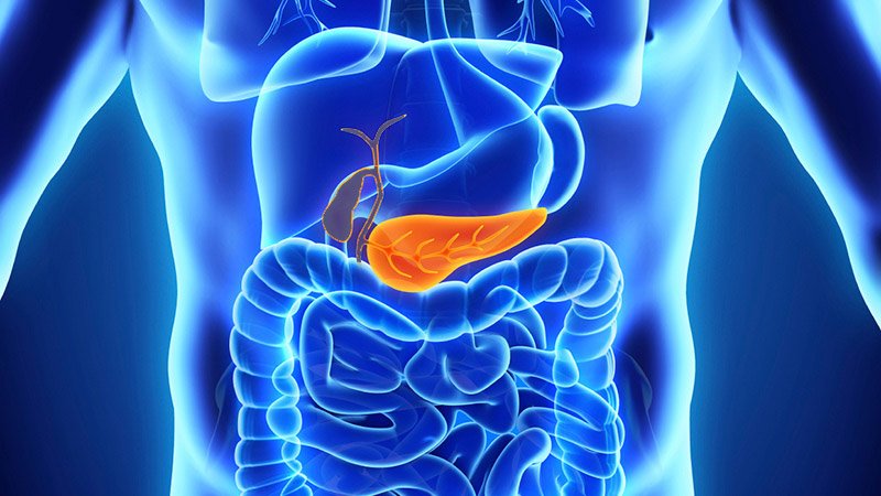 Pancreas